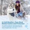 image:imageNourishing Pet Paw Cream Protects amp Heals Dry Cracked Paws  Natural amp Safe for Dogs amp Catsmilky white