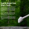 image:imageDog Oral Care Kit  Contains Dog Toothpaste DualHeaded Toothbrush Silicone Finger Brush  14 fl oz Fresh Breath Healthy Gums