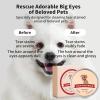 image:imageTear Stain Remover for Dogs 1oz  Dog Tear Stain Remover for White Dogs Pet Eye Cleaner Dog Eye Care for Tear Stains Dog Eye Booger Remover Cat Tear Stain Remover Eye Stain Remover for White Fur