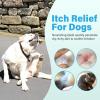 image:imageDog Moisturizer for Dry Itchy Skin Coconut Oil for Dogs amp Cats Hot Spot amp Paw Moisturizer Pet Skin Pen with Precision Applicator Brush Soothes Itch Heals amp Promotes Hair Growth LickSafe 3 Pack15ml017 floz