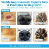 image:imageDog Moisturizer for Dry Itchy Skin Coconut Oil for Dogs amp Cats Hot Spot amp Paw Moisturizer Pet Skin Pen with Precision Applicator Brush Soothes Itch Heals amp Promotes Hair Growth LickSafe 3 Pack15ml017 floz