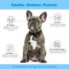 image:imageDog PostSun Recovery Serum  Soothes Hot Spots Redness amp Sun Discomfort  Repairs Moisture Barrier with Ceramides  For Ears Belly amp Paws  FastAbsorbing Formula 185 fl oz