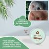 image:imageSnout Soother Nose Balm for Dogs amp Cats  Natural Healing amp Moisturizing Balm for Dry Cracked Snouts  PlantBased Soothing Skin Formula