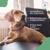 image:imageSnout Soother Nose Balm for Dogs amp Cats  Natural Healing amp Moisturizing Balm for Dry Cracked Snouts  PlantBased Soothing Skin Formula