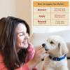 image:imageSnout Soother Nose Balm for Dogs amp Cats  Natural Healing amp Moisturizing Balm for Dry Cracked Snouts  PlantBased Soothing Skin Formula