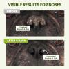 image:imageSnout Soother Nose Balm for Dogs amp Cats  Natural Healing amp Moisturizing Balm for Dry Cracked Snouts  PlantBased Soothing Skin Formula