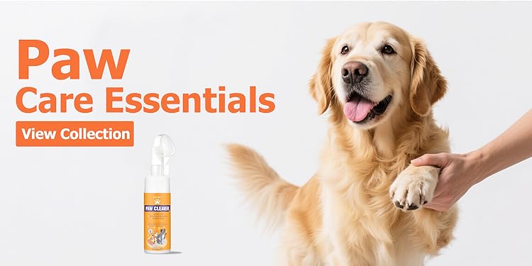GJYC PET: Trusted Pet Essentials—Creating a Happy and Healthy Life for Your Beloved Pets