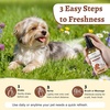 image:imageDog Perfume amp Cologne Spray  LongLasting Vanilla Coconut Scent AlcoholFree Deodorizing Spray Gentle Grooming Mist Fur Condition amp Coat Fresh Nonsticky Dogs amp Cats 406 floz406 Fl Oz Pack of 1